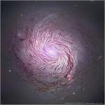 میدان های مغناطیسی کهکشان مارپیچی M77