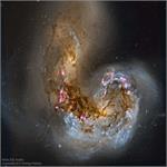 تصویر نجومی روز ناسا: کهکشان مارپیچی NGC 4038 و برخورد