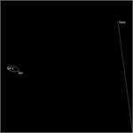 فلورانس، بزرگ‌ترین سیارکی که از نزدیکی زمین عبور کرده است