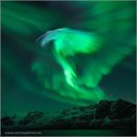 درخشش عقاب بر فراز آسمان نروژ