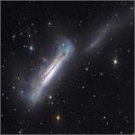 پرتره NGC 3628