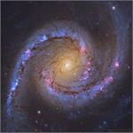 کهکشان مارپیچی NGC1566: رقاص اسپانیایی