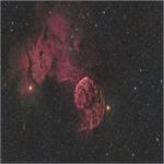 تصویر نجومی روز ناسا: سحابی عروس دریایی و شارپلس 249