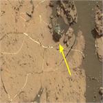 کشف یک شهاب سنگ عجیب روی مریخ+تصاویر