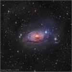 مسیه63: کهکشان گل ‌آفتاب‌گردان